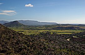 A view from Guantanamo.jpg