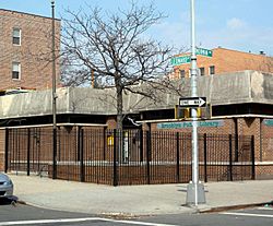 BPL Greenpoint jeh