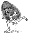 Banksia man