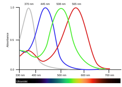 BirdVisualPigmentSensitivity