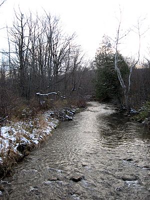 Butternut-Creek-Jamesville-NY-2014