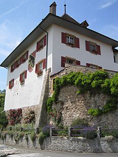 CH Erlach Schloss