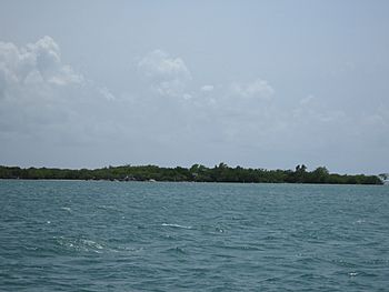 Cayos de Caña Gorda-2 (Cayo Aurora).jpg