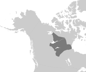 Chipewyan map.svg