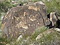 Chipping petroglyph on Waterfall Trail in the White Tank Mountains