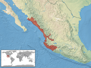 Crotalus basiliscus distribution.png