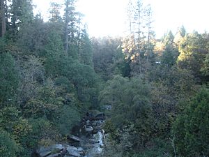 Deer Creek near Nevada City