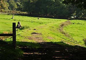 Devon Great Consols Railway