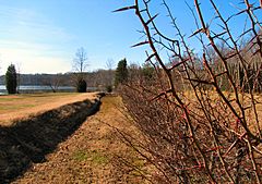 Fort-loudoun-outer-defenses-tn1