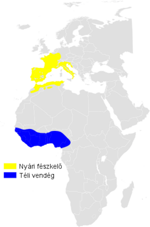 Hippolais polyglotta distribution map.png