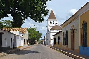 Iglesia matriz de Carora.jpg