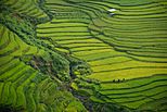 Khau Phạ Pass, Vietnam (Unsplash).jpg