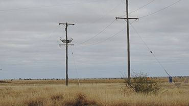 Landscape, Morella, 2019 01.jpg