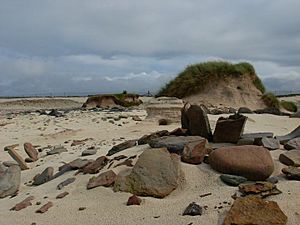 Links of noltland