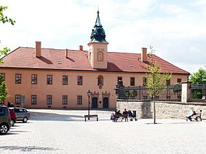 Litomyšl, muzeum (1)