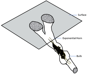 Mole cricket burrow