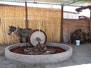 Molino para mezcal