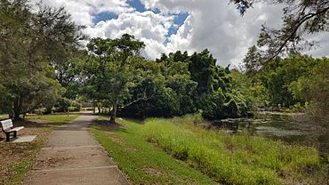 Mt Petrie Rd Park 2018.jpg