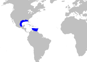 Oxynotus caribbaeus distmap.png