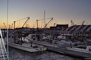 Oyster Boats