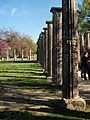 Palestra d'Olímpia, columnes