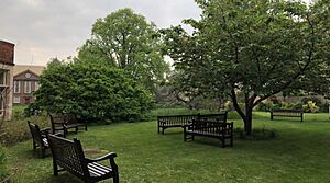 Park Lawn, Somerville College, Oxford