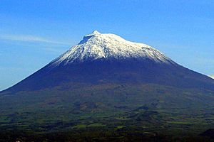 Pico-HortaFaial (crop)