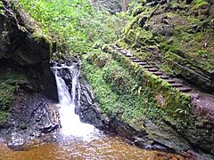 Puck's Glen 20170416 0955