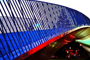 Puente parque de las tejas