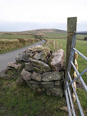 Road on Pinnockshill - geograph.org.uk - 710490