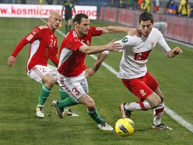 Robert Lewandowski 2011 (3)