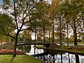 Rymill Park in autumn