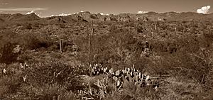 Superstition Mountains From Route 60