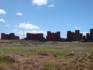 Table Mountains Of South Auckland.jpg