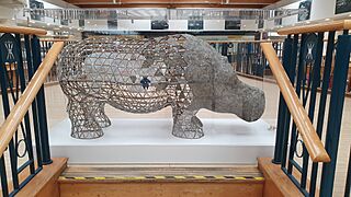 The Disappearing Hippo, Glenrothes