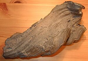 Volcanic bomb from Hekla