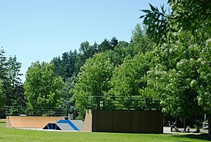 Wilsonville Memorial Park skatepark