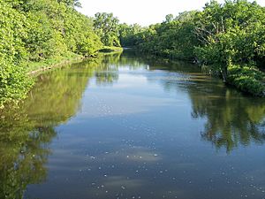 Yellow Medicine River.jpg