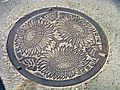 Zama manhole cover2