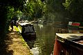 Autumnal scene, Grand Union Canal (geograph 2658170)