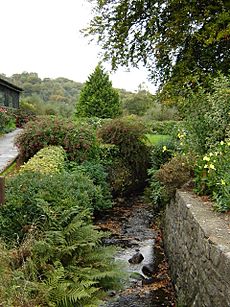 Avoca Handweavers, Ireland - grounds