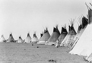 Blackfoot tipis