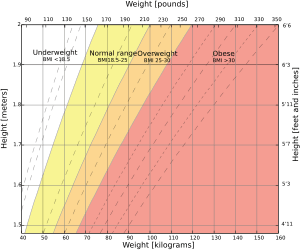 Body mass index chart