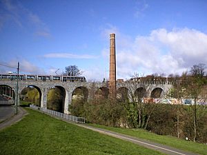 The Nine Arches Viaduct over the River Dodder