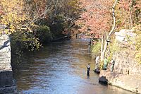 Carlton, NY, USA - panoramio (11)