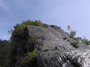 Chimney-tops-capstone-base1