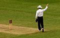 Cricket Umpire