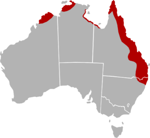 Distribution map of Cressida cressida in Australia.png