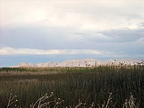 Fish Springs Utah.jpg