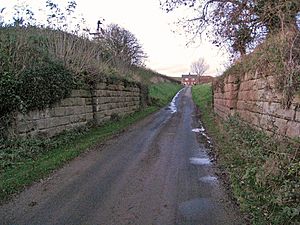 Guisborough helmet findsite